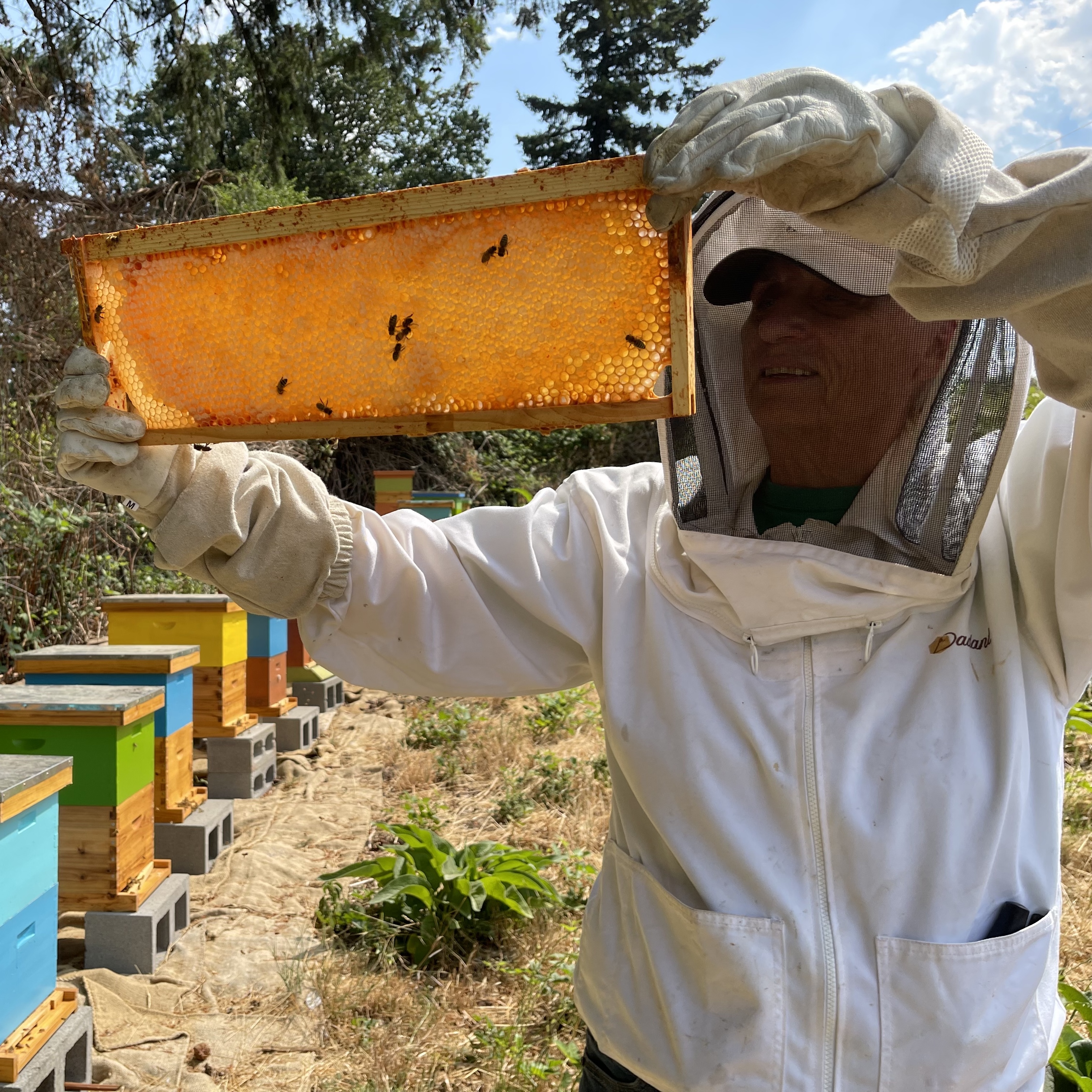 Raw, unfiltered honey from Soil & Hive's own apiaries